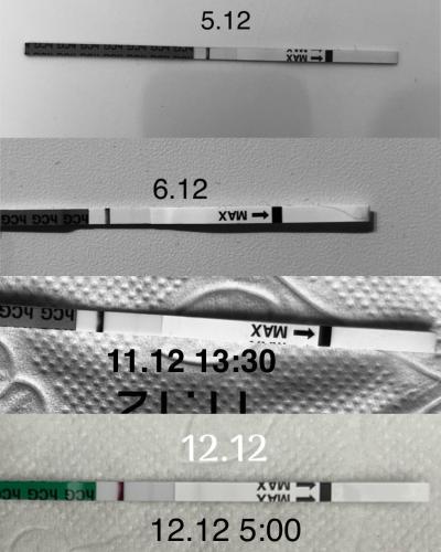 Testování a těhotenský test | Těhotenský test, duch