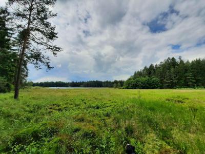 PROCHÁZKA 13.6.2024