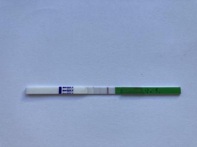 Ovulační test 9.DC