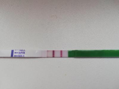 Testování a těhotenský test | Ovulace v době menstruace