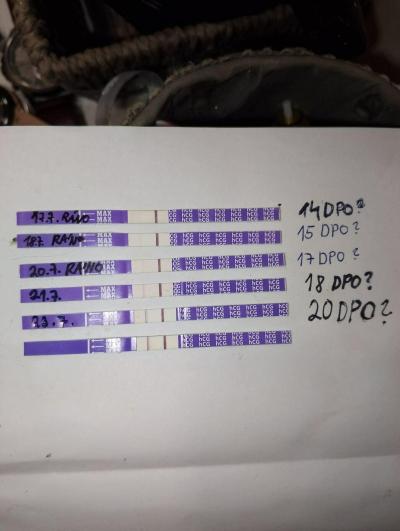 Testování a těhotenský test | Myslíte, že to vypadá dobře?