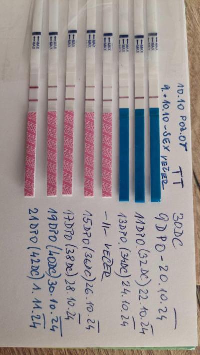 Testování a těhotenský test | Holky, kdy nejdřív jste měly pozitivní těhotenský test?