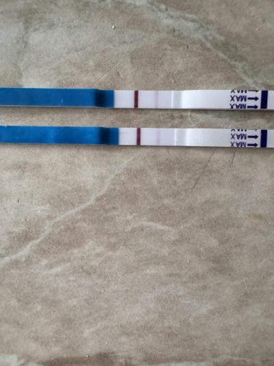 Testování a těhotenský test | Těhotenský test