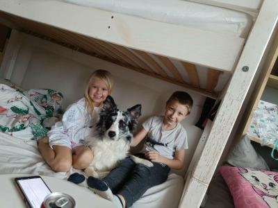 Zvířata | Kdo má Border kolii?