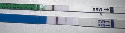 Testování a těhotenský test | Dva falešné testy?