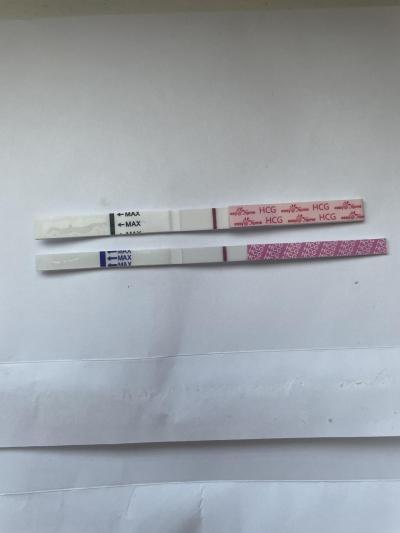 Testování a těhotenský test | Livsane 9dpo test