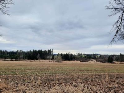 PROCHÁZKA 14.2.2024