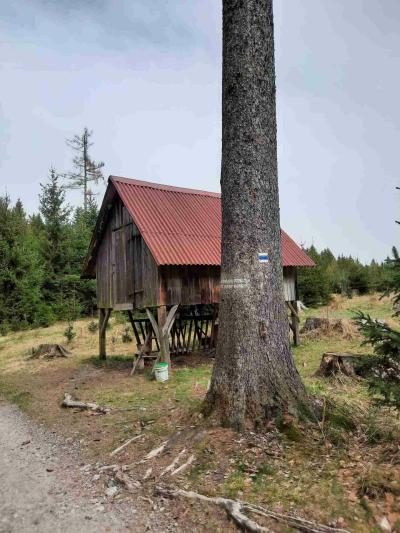 LISOVSKÁ SKÁLA