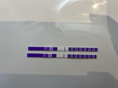 Testování a těhotenský test | 7. den po ET - pozitivní těhotenský test?
