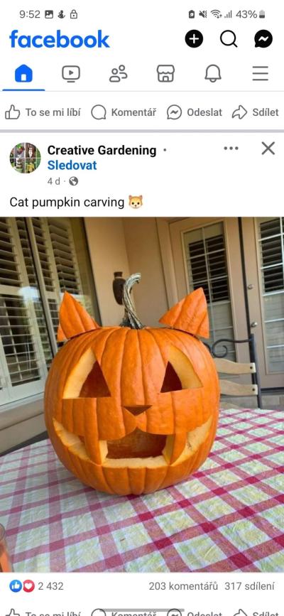 Školky a školy | Soutěž ve vyřezávání dýní na Halloween