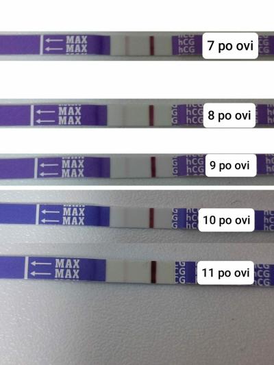 Testování a těhotenský test | 11 den po Ovitrelle