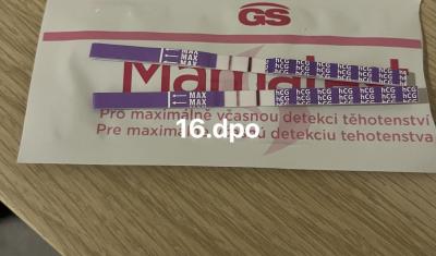 Testování a těhotenský test | Intenzita čárky na těhotenském testu