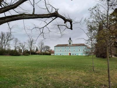 DAČICE