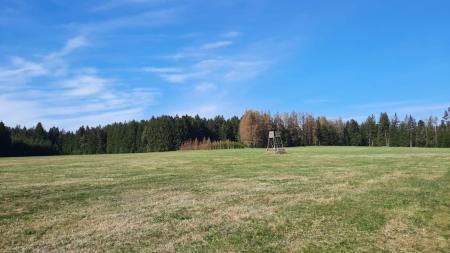 PROCHÁZKA 18.3.2024