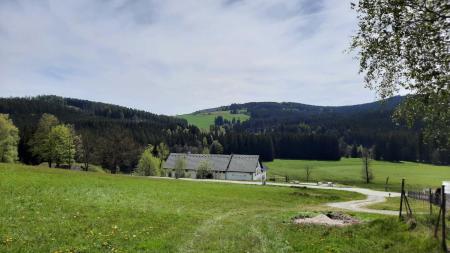 BŘEZINY