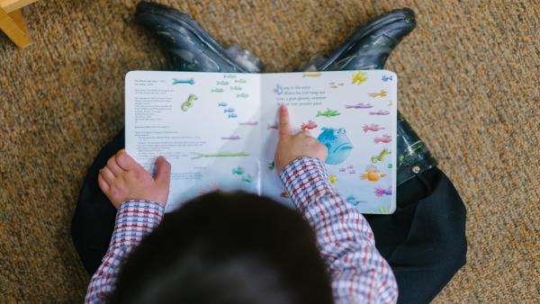 Jaké jsou rozdíly mezi dysgrafií a dyslexií?