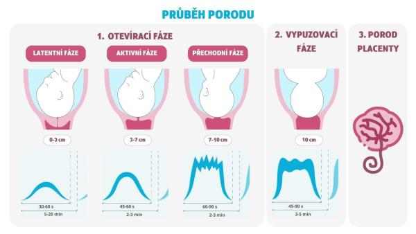 Průběh porodu, kalkulačka kontrakcí