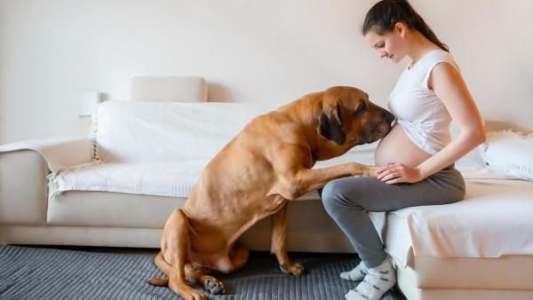 27. týden těhotenství. Jaké zkušenosti mají uživatelky eMimina?
