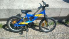 Cross Rider Leader Fox 16