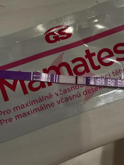 Testování a těhotenský test | Snažilky 2025
