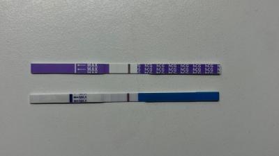 Testování a těhotenský test | Duch, ryska nebo se mi to jenom zdá?