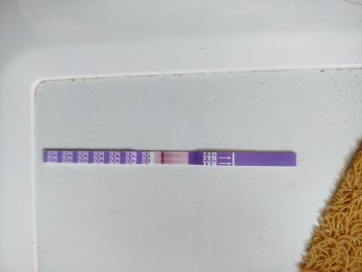 Testování a těhotenský test | 8 dní od styku a možná i od ovulace