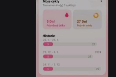 Těhotenství | Těhotenství břicho