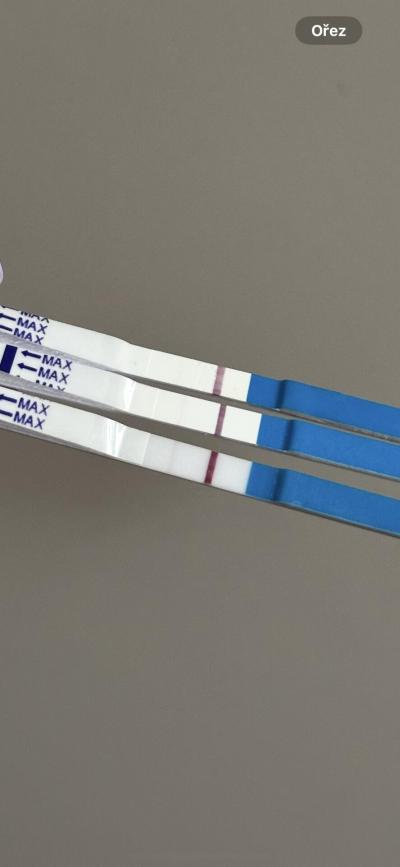 Těhotenství | Duch na testu? Lifelight test