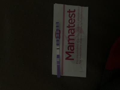 Testování a těhotenský test | Holky tak co? Vadný?