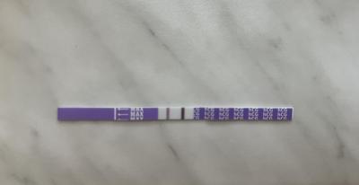 Testování a těhotenský test | Silný tt 3 dny před MS