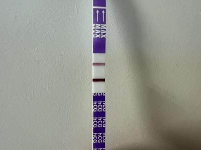 Testování a těhotenský test | Foto: 16 DPO a síla těhotenského testu