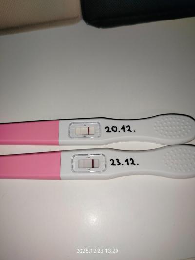 Testování a těhotenský test | Foto: Těhotenský test - co myslíte