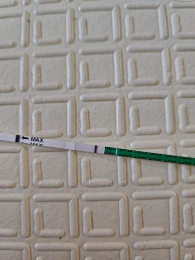 Testování a těhotenský test | Duch na testu. Vidite?