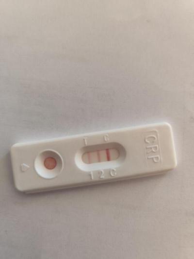 Zdravotní potíže dospělých | CRP test  vyhodnocení