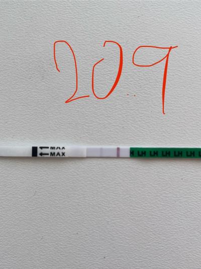 Testování a těhotenský test | Duch , ryska nebo jsem slepa?