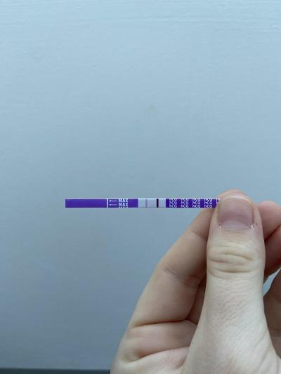 Testování a těhotenský test | Snažilky 2025