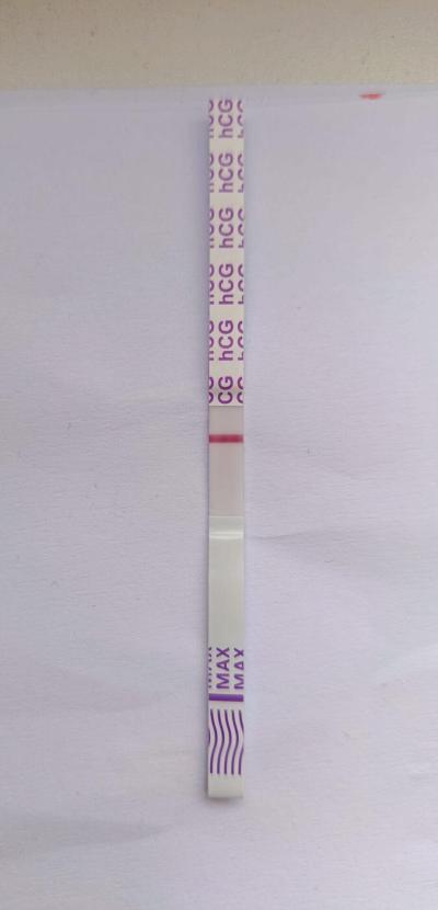 Testování a těhotenský test | Snažilky 2025