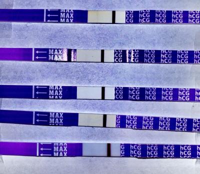 Centra asistované reprodukce | IVF/KET 2025