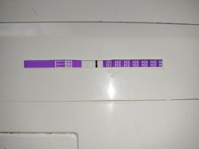 Testování a těhotenský test | Test 7dpo nebo 6dpo