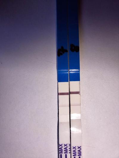 Centra asistované reprodukce | IVF/KET 2025