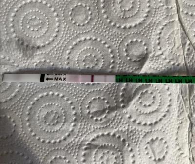 Testování a těhotenský test | Ovulacni test pred ms