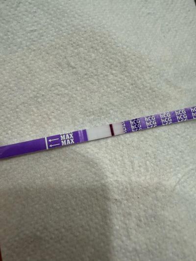 Testování a těhotenský test | Snažilky 2025