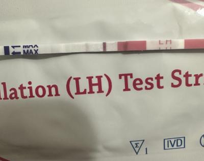 Testování a těhotenský test | Silnější čárka na ovu testu před ms
