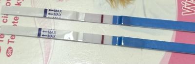 12DPO