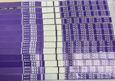 Testování a těhotenský test | KET DUBEN 2025