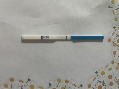 Testování a těhotenský test | Snažilky 2025