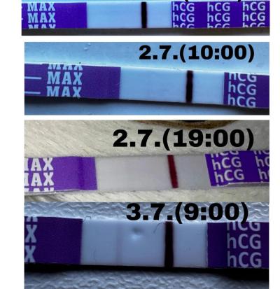 Testování a těhotenský test | Snažilky 2025