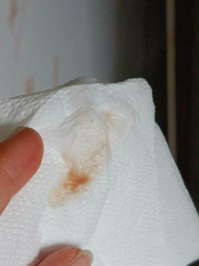 Testování a těhotenský test | Můžu udělat test?