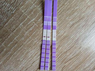 Testování a těhotenský test | Foto: Těhotenský test - co myslíte
