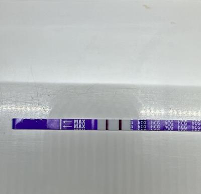 Testování a těhotenský test | Snažilky 2025